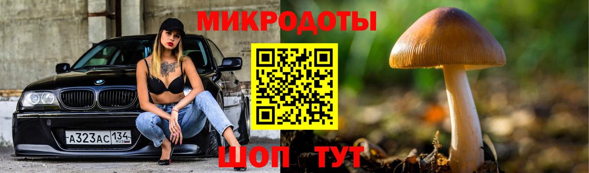 Псилоцибиновые грибы Cubensis Ирбит